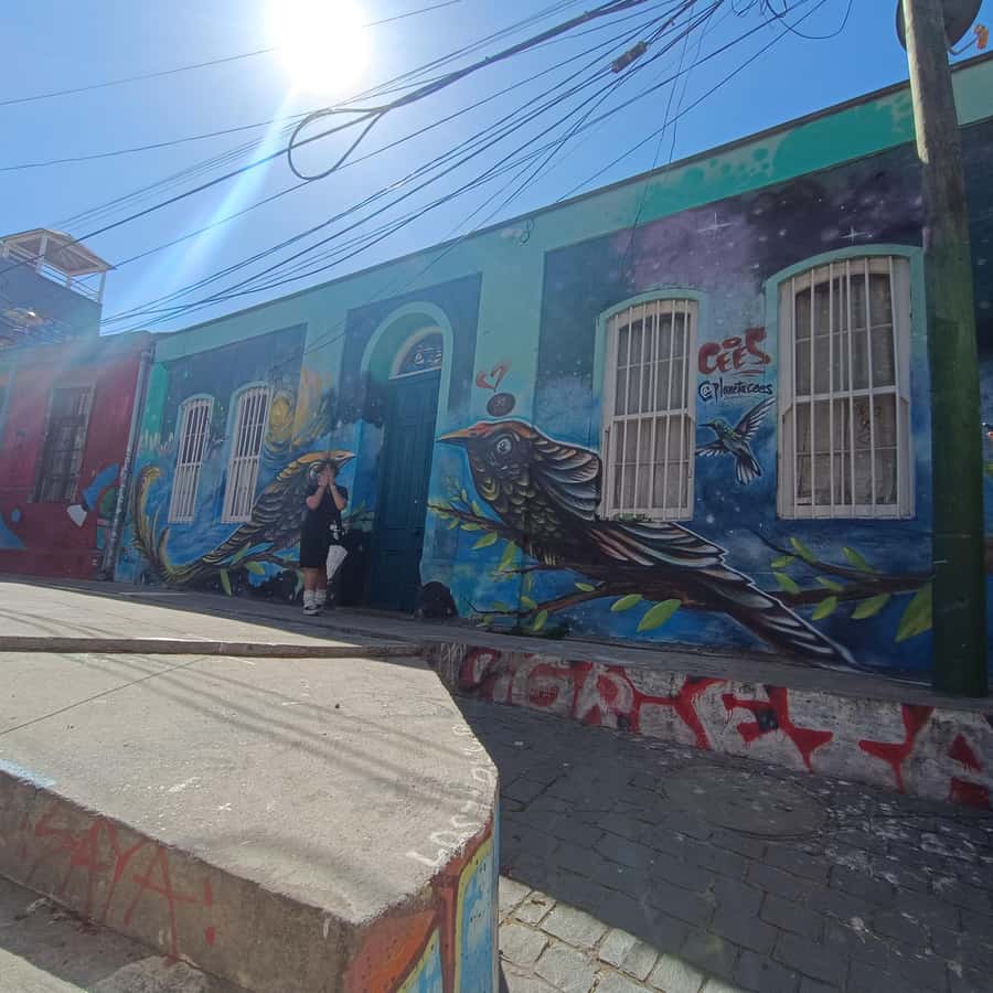 Valparaíso: city tour and ticket to the house of Pablo Neruda - The walking, timing, and access questions