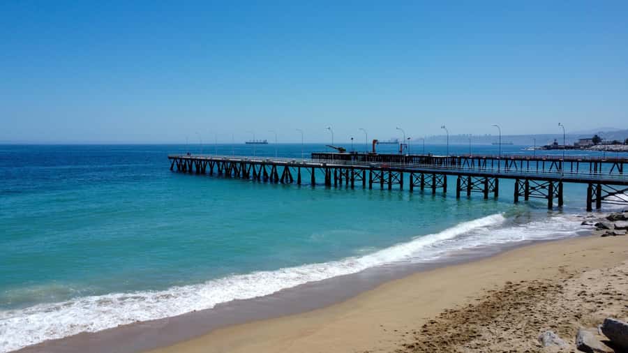 Valparaiso Port and Viña del Mar, Wine tasting in Casablanca - The van, pickup area, and long-day rhythm