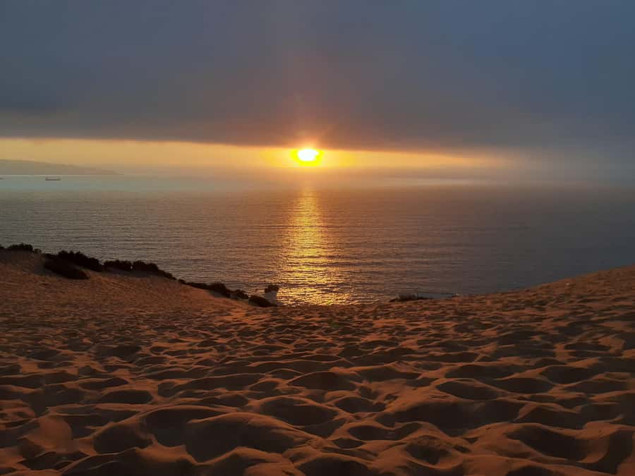 Valparaíso: Sandboarding and Sunset in Concon Sand Dunes - Meeting at Ripley and riding to the dunes