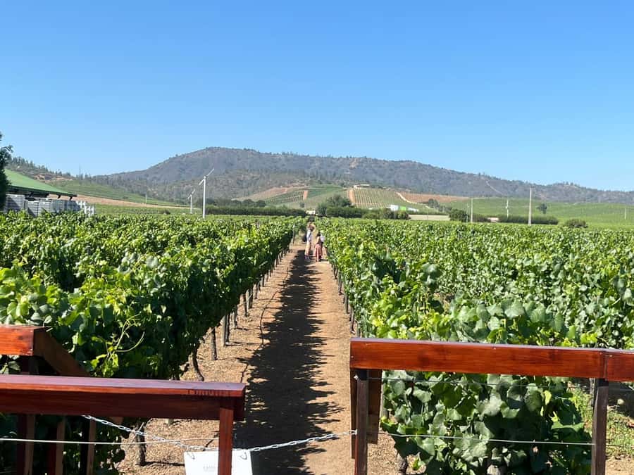 Valparaíso to Casablanca: wine tour with premium tasting and transportation - Key points to know before booking