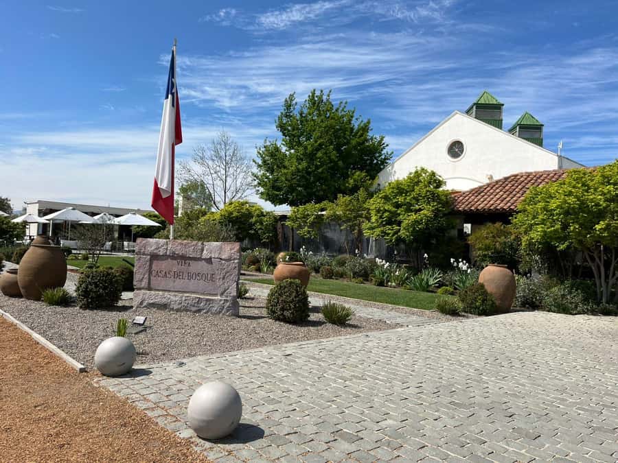 Valparaíso to Casablanca: wine tour with premium tasting and transportation - Should you book the Valparaíso to Casablanca wine tour?