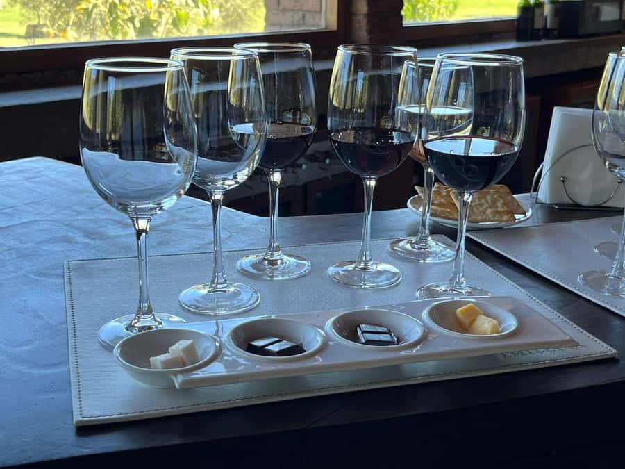Valparaíso to Casablanca: wine tour with premium tasting and transportation - Why Casablanca works well from Valparaíso