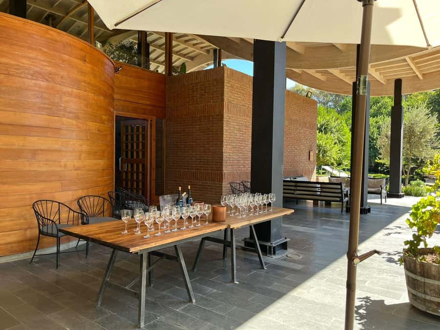 Valparaíso to Casablanca: wine tour with premium tasting and transportation - A 30-minute vineyard visit keeps things focused