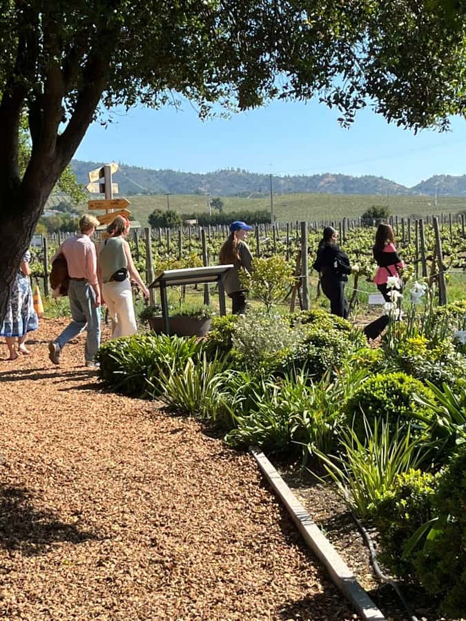 Valparaíso to Casablanca: wine tour with premium tasting and transportation - Forty-five minutes for the shop and vineyard grounds