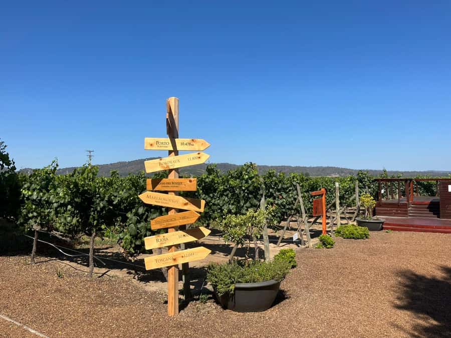 Valparaíso to Casablanca: wine tour with premium tasting and transportation - The drive to Casablanca takes about an hour each way