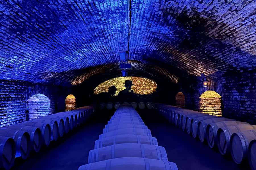 Viña Concha y Toro Nighttime: Dinner Show - Language is the biggest booking question