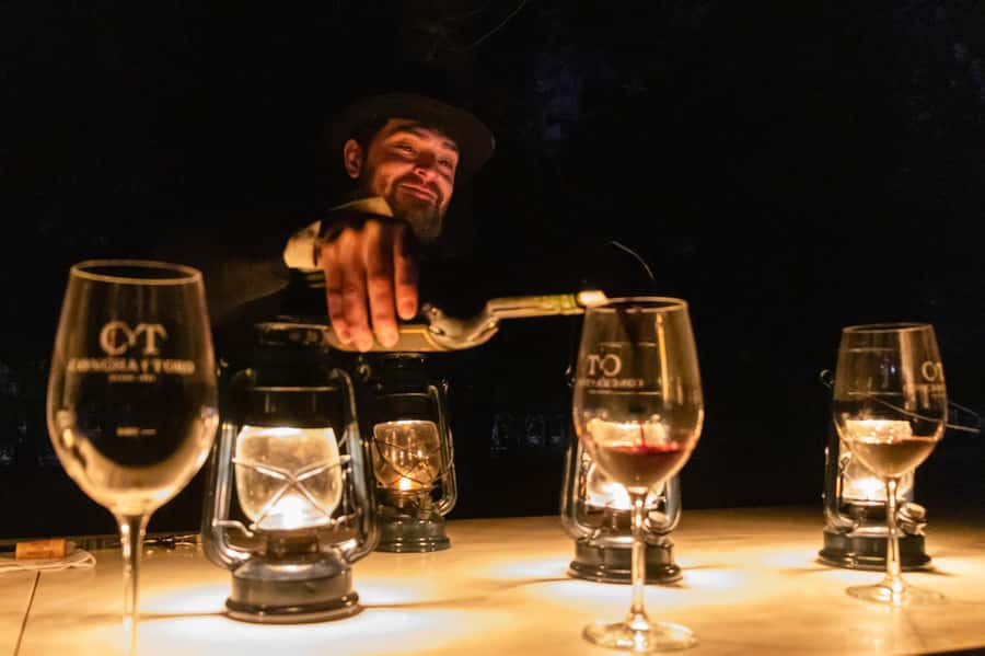 Viña Concha y Toro Nighttime: Dinner Show - Who should book this experience?