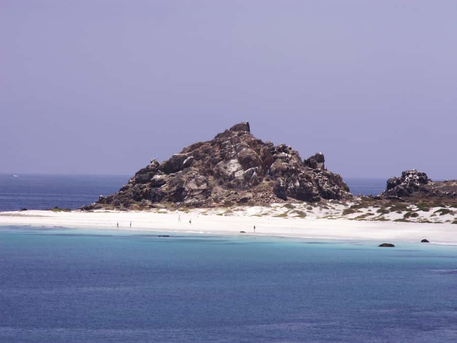 Whales & Humboldt Penguins: Chañaral or Damas island hiking - From La Serena to the edge of the Atacama