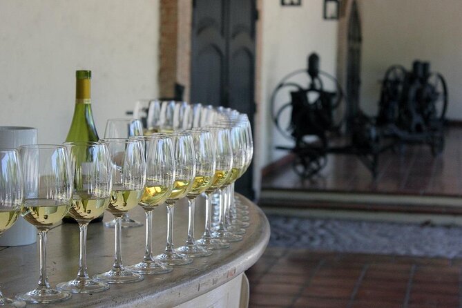Wine wonders at Concha y Toro premium tour - Key points before you book